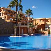 Jacaranda in Pedreguer