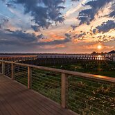 Yellowfin at Winyah Bay Club