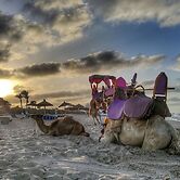 Bedrum Propum Kombinum123