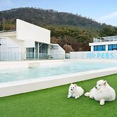 Gyeongju Purspet Dog Pension