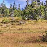 4 Person Holiday Home in Follinge