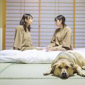 Matsusaka Wanwan Paradise Mori No Hotel