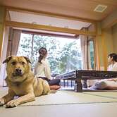 Matsusaka Wan Wan Paradise Forest Hotel