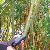 CASA TURISTICA VALERIANA