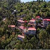 Maple Resort Chail