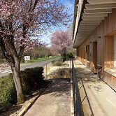 Logis Hôtel Les TILLEULS