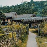 Ban Lien Pine Homestay Lao Cai