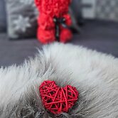 SKOG - Aurora igloos