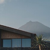 Pico Vineyards