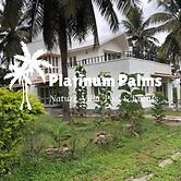 Platinum Palms Villa With Pool