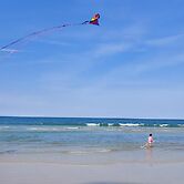 The Shores Club 1105