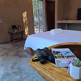 Ecolodge Xocen Birding