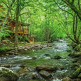 Elk Rapids On Cosby Creek 3 Bedroom Cabin