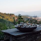 Secluded Cottage Guesthouse in the Mountains