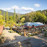 Harrietville Snowline Hotel