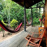 amazonian oropendola tambopata