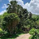 quinta de areal