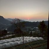 Doymoktawanview