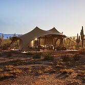 SaguaroGlamp
