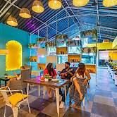 The Hosteller Goa, Candolim