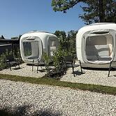 Directly on Lake Wallersee - Cubes - SELF CHECK-IN