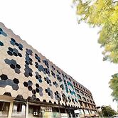 Shelton's Ambassador