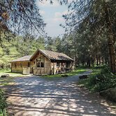 Birch Lodge