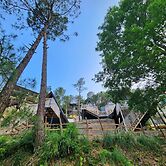 Musical Paradise Kasauli