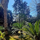 La Pineta