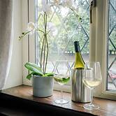 The Mayflower at Austerfield