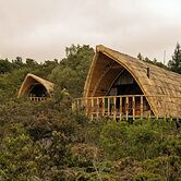 Hotel Casa Selvaggio