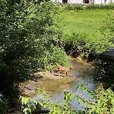 Privatpension Die Mühle