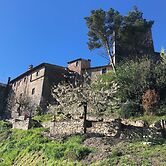 Lemon Tree Boutique Guesthouse