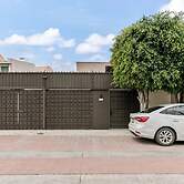 Pájaros by Homirent