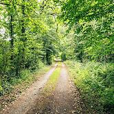 Idyllic Countryside Cottage