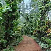 Aura Ecostay Resorts