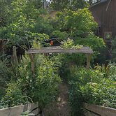 Le Lodge du Cap Ferret