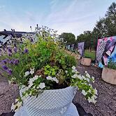 Tofta Konstgalleri-Lägenhet Loftet03