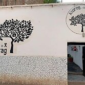 ASARAG GUEST HOUSE & Lodge