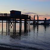 Fred Tibbs Ocean Front Condos