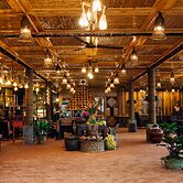 Eco Palms House - Sapa Retreat