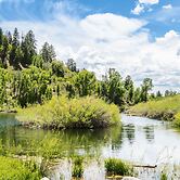 High Creek Lodge & Cabins
