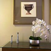 Hotel Maximus Business