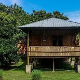 The Roots Eco Resort