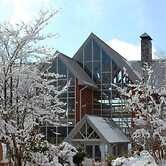 Amicalola Falls State Park & Lodge