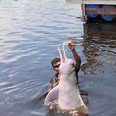 Curupira Amazon Lodge - Private Jungle Tour, River Tour or Great Adven