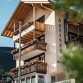 Hotel Antines