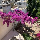 Welcomely - Celi Blu Apartments