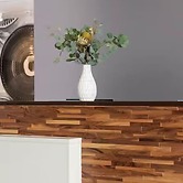 Hampton Inn Monterrey Tecnologico, Mx