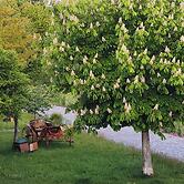 HexenburgbeiDresden 3 Zimmer Architektengaleriewohnung mit eigener Sau